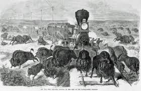 Late 1800s bison hunt for passengers "on the line of the Kansas-Pacific Railroad" (Library of Congress)